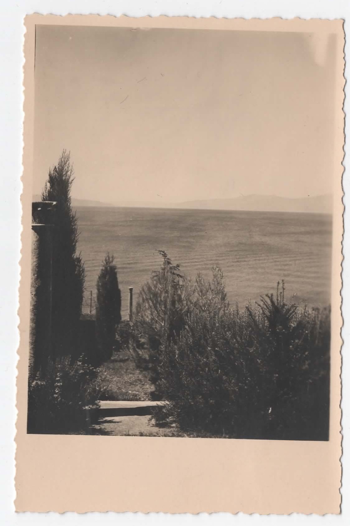 Garden view (1935)